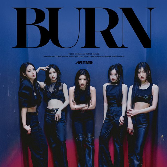 Cover of <BURN>