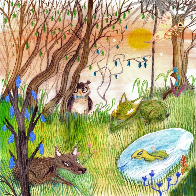 Cover of Animal Kingdom