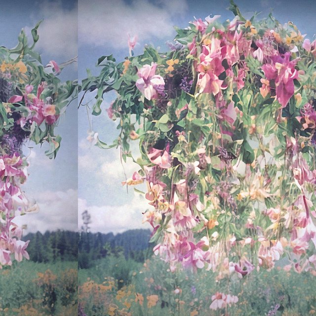 Cover of Laying in a Field