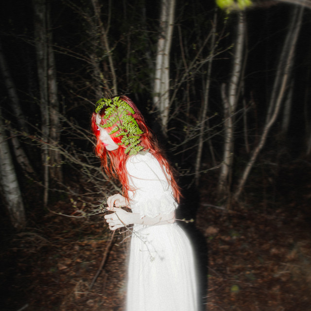 Cover of Кошенята