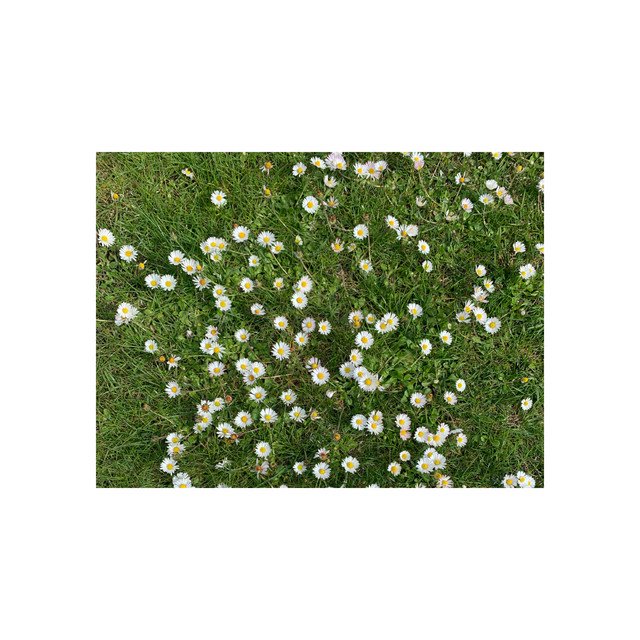 Cover of Ничего хорошего