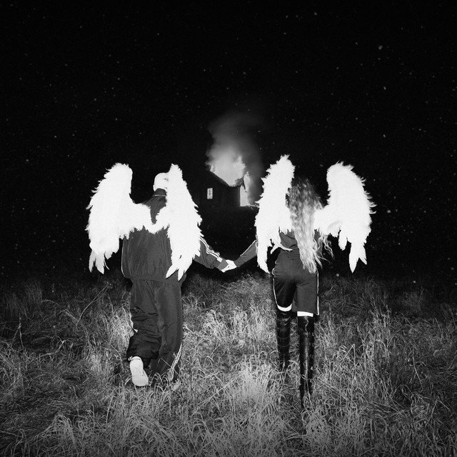 Cover of Coming Home