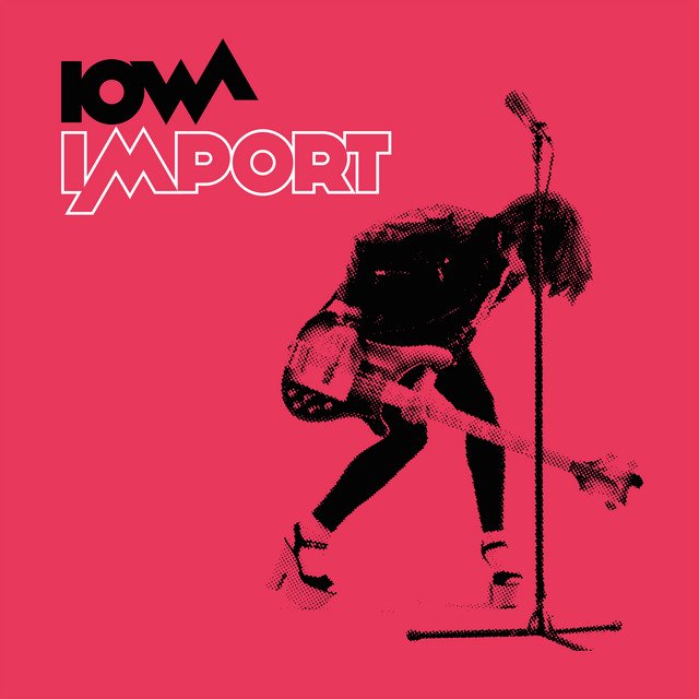 Cover of Import