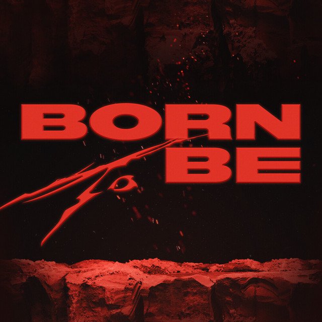 Cover of BORN TO BE