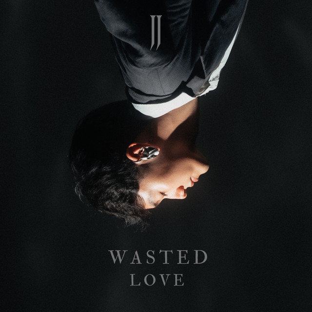 Cover of Wasted Love