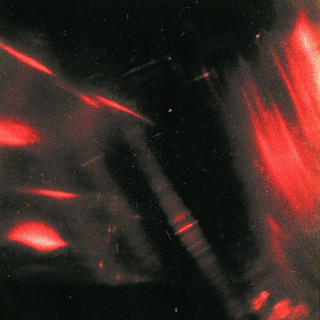 Cover of LOVE YOU LESS