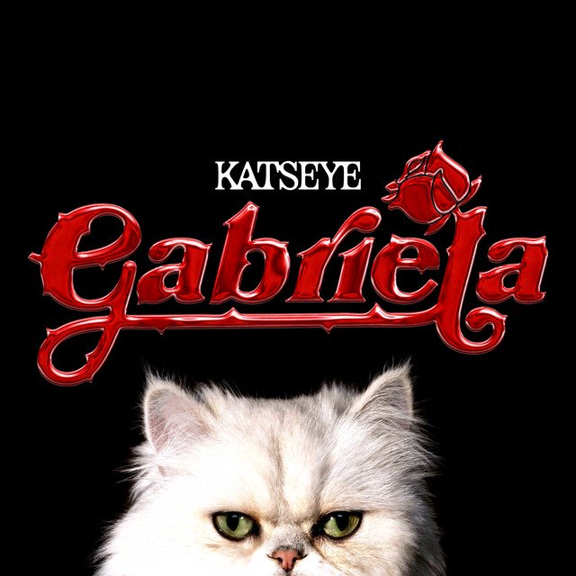 Cover of Gabriela