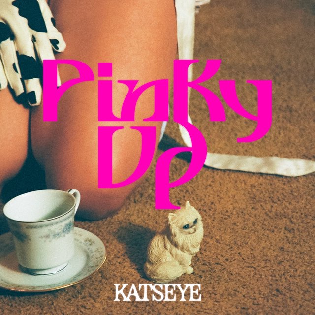Cover of PINKY UP