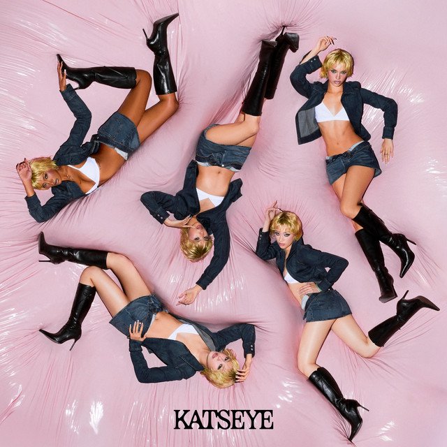 Cover of WILD