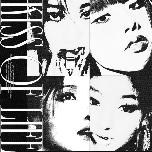 Cover of Born to be XX