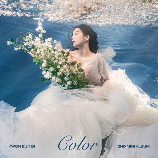 Cover of Color