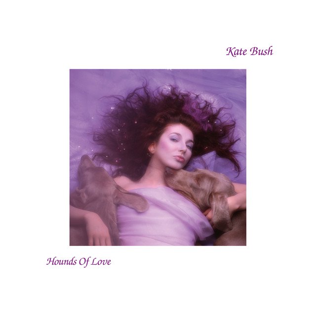 Cover of Hounds of Love