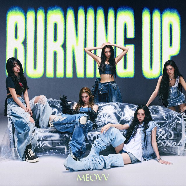 Cover of BURNING UP