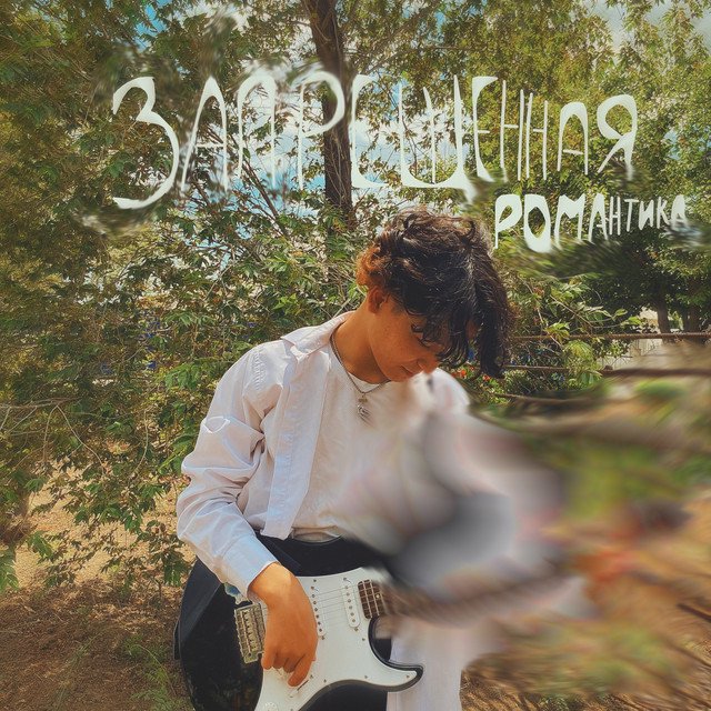 Cover of Запрещённая романтика