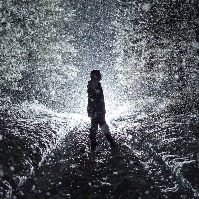 Cover of Willfully Blind