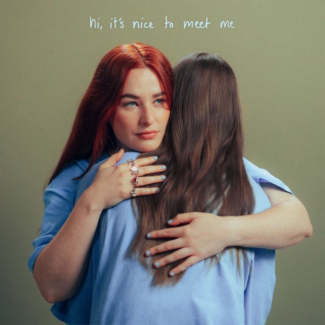 Cover of hi, it's nice to meet me