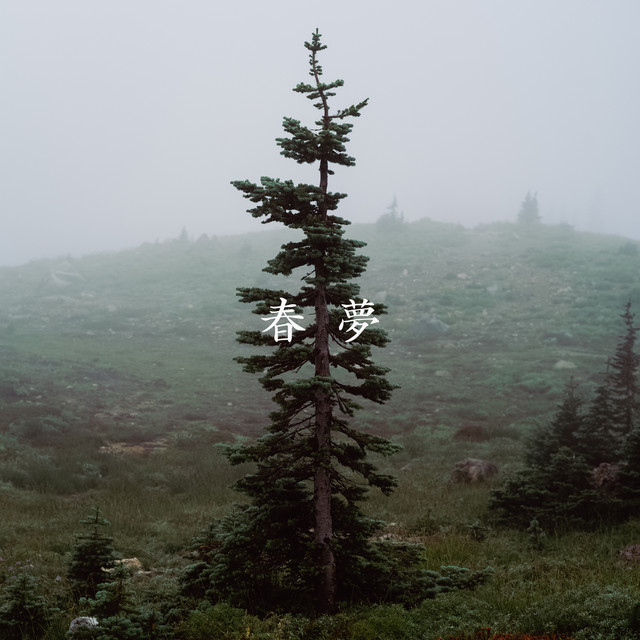 Cover of Spring dream