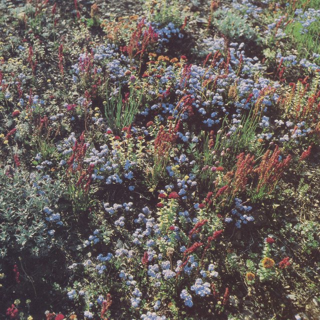 Cover of Before The Road