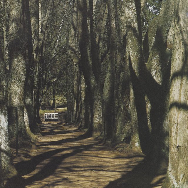 Cover of Sleep, and I Will Sing