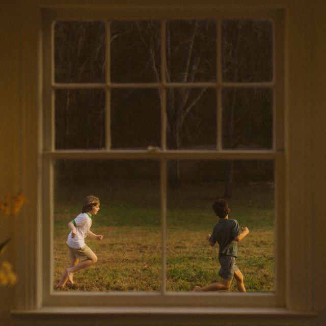 Cover of The Great Divide: The Last Of The Bugs