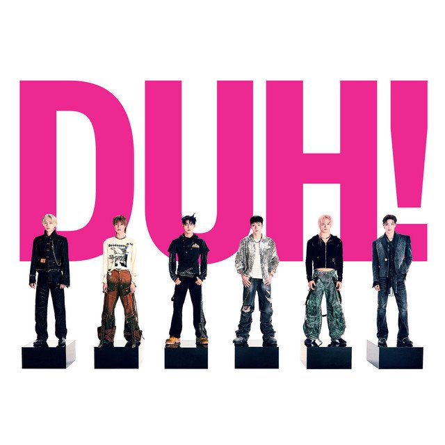 Cover of DUH!