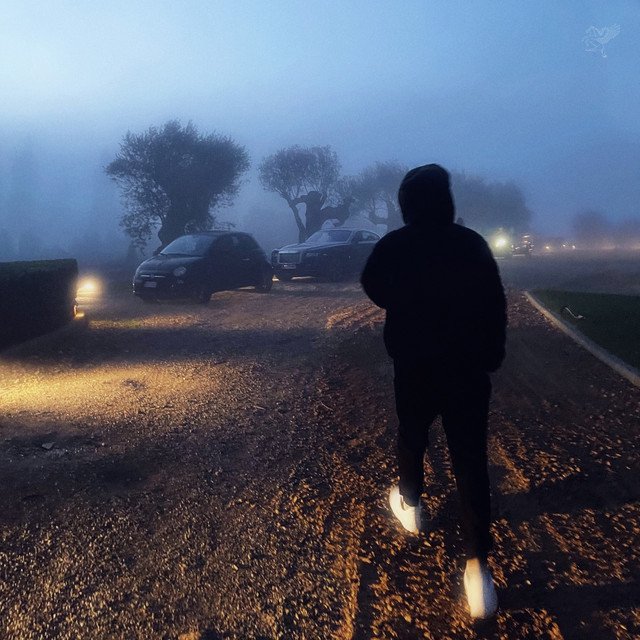 Cover of PHILARMONIA