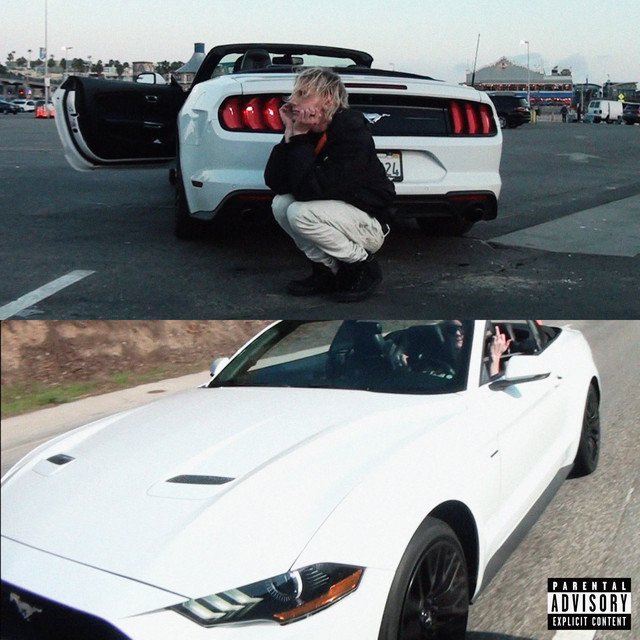 Cover of Fashion Drugs Habits