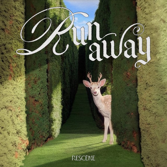Cover of Runaway