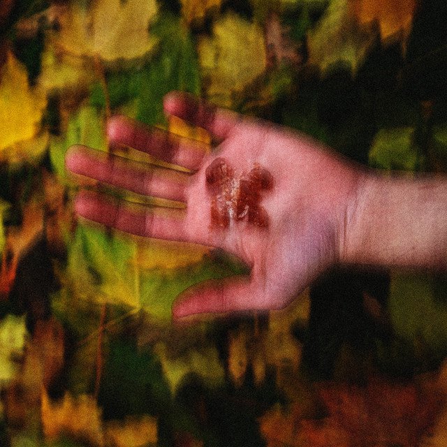 Cover of Мой зайчик