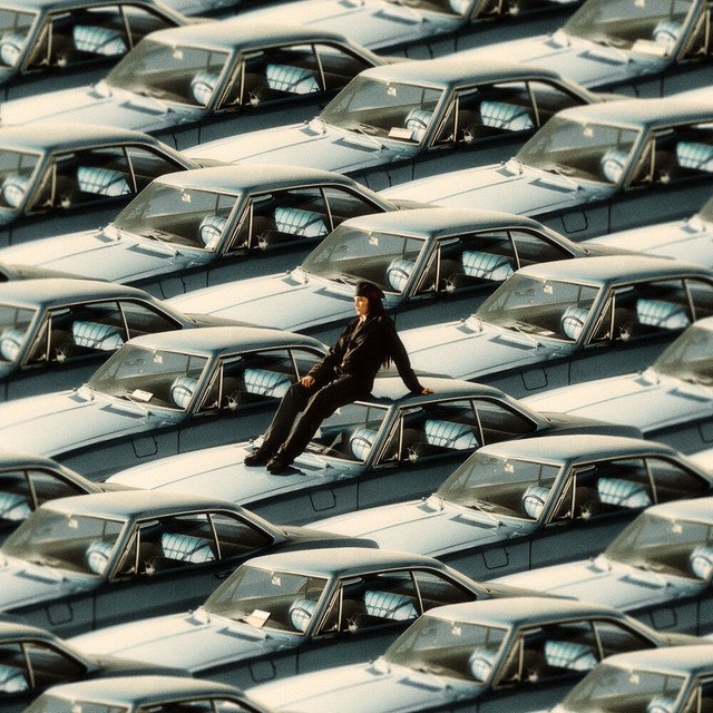 Cover of SINK NOW, SWIM LATER