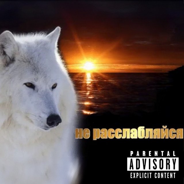 Cover of не расслабляйся