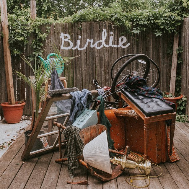 Cover of Birdie