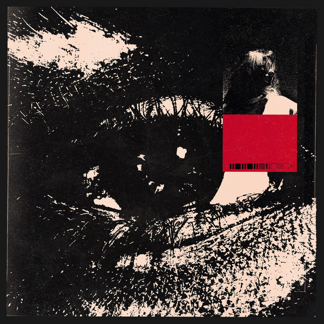 Cover of What You Heard