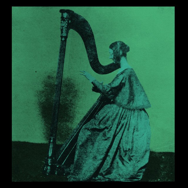 Cover of Grapes Upon the Vine