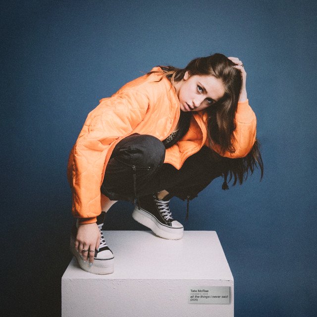 Cover of all the things i never said