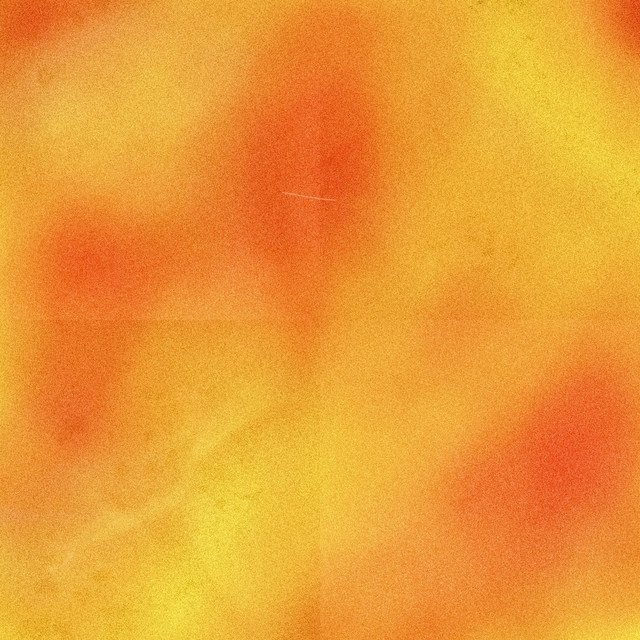 Cover of THE RENEWAL PROJECT