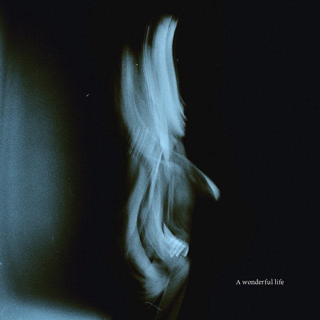 Cover of A Wonderful Life