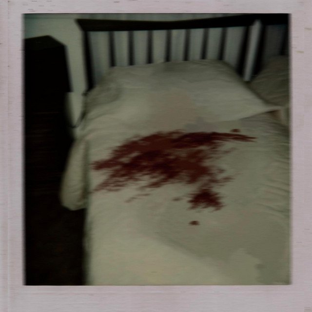 Cover of Blood on the Sheets