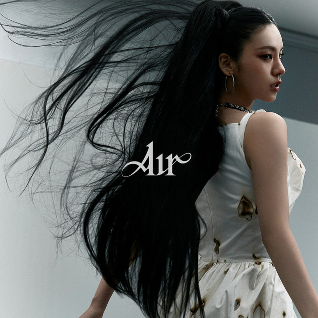 Cover of Air (English Ver.)