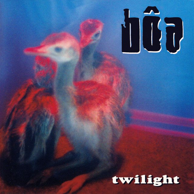 Cover of Twilight