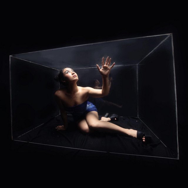 Cover of Scatterbrain (Deluxe)