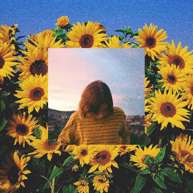 Cover of summer depression