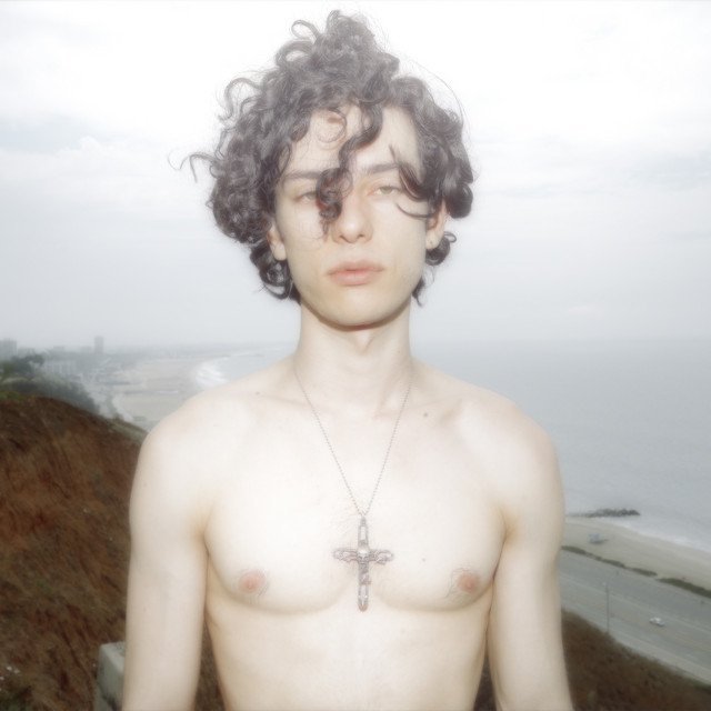 Cover of Late Bloomer, Early Death