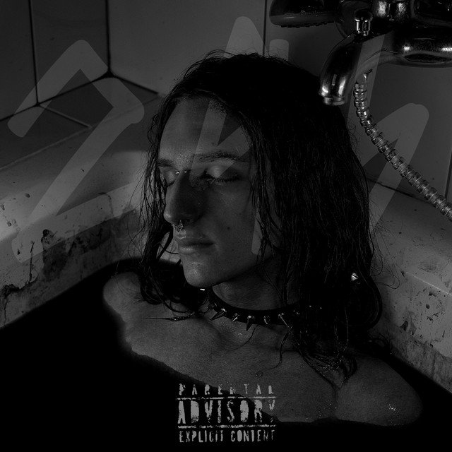 Cover of Квартира 296