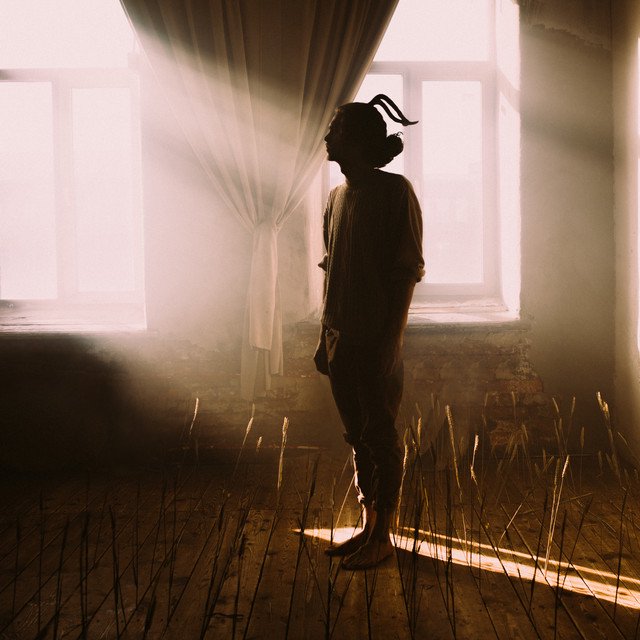 Cover of Крылья