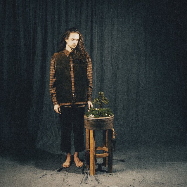 Cover of руководство по уходу за деревом