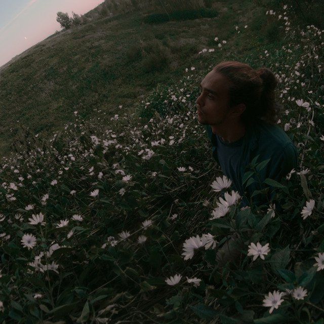 Cover of всем одинаково холодно