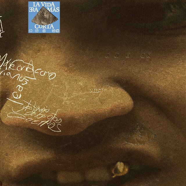 Cover of La Vida Era Más Corta