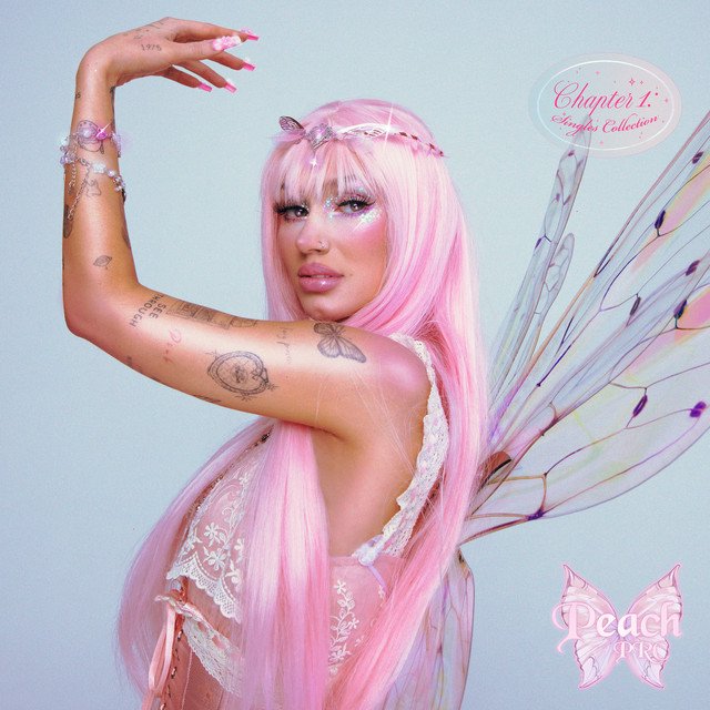 Cover of Chapter 1: Singles Collection