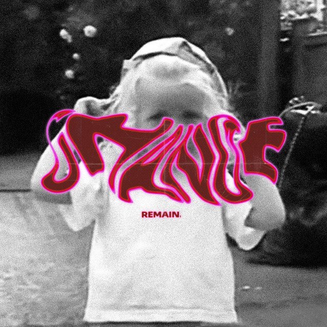 Cover of Change & Remain